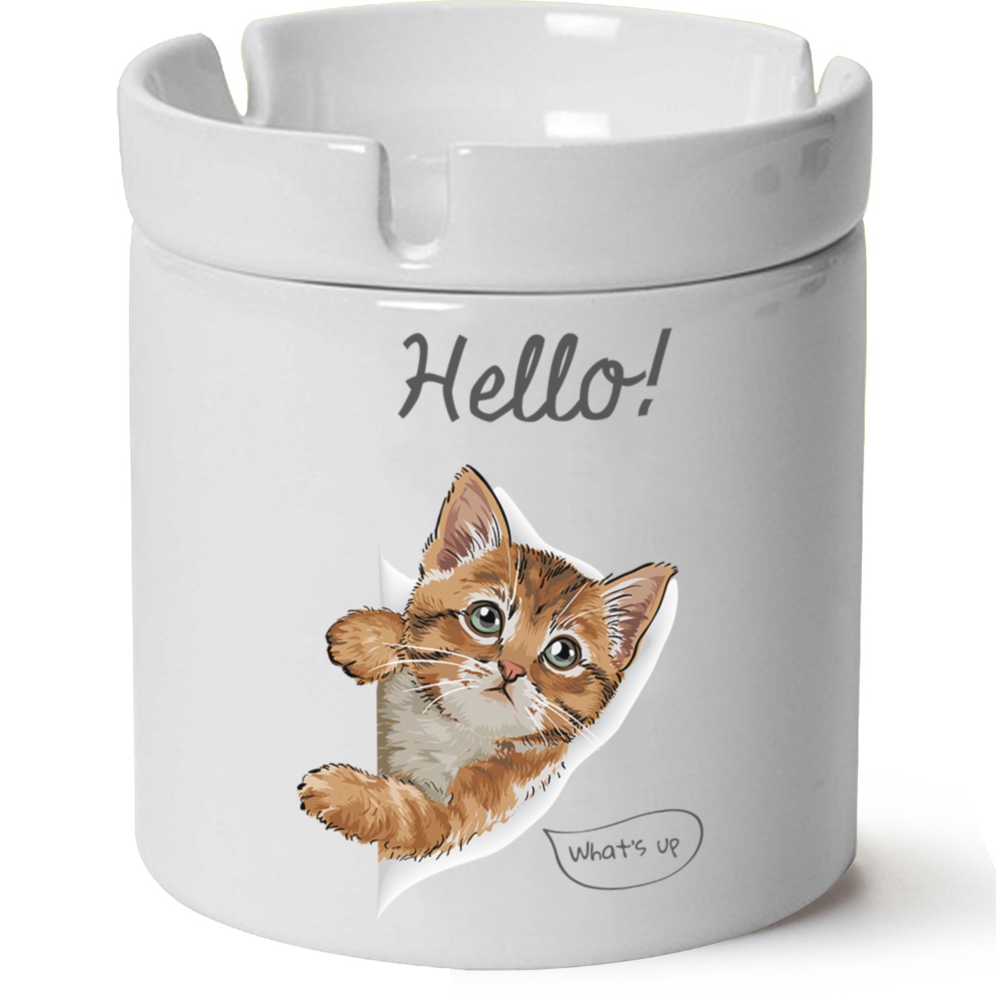 Kedi Baskılı Porselen At Söndür Küllük