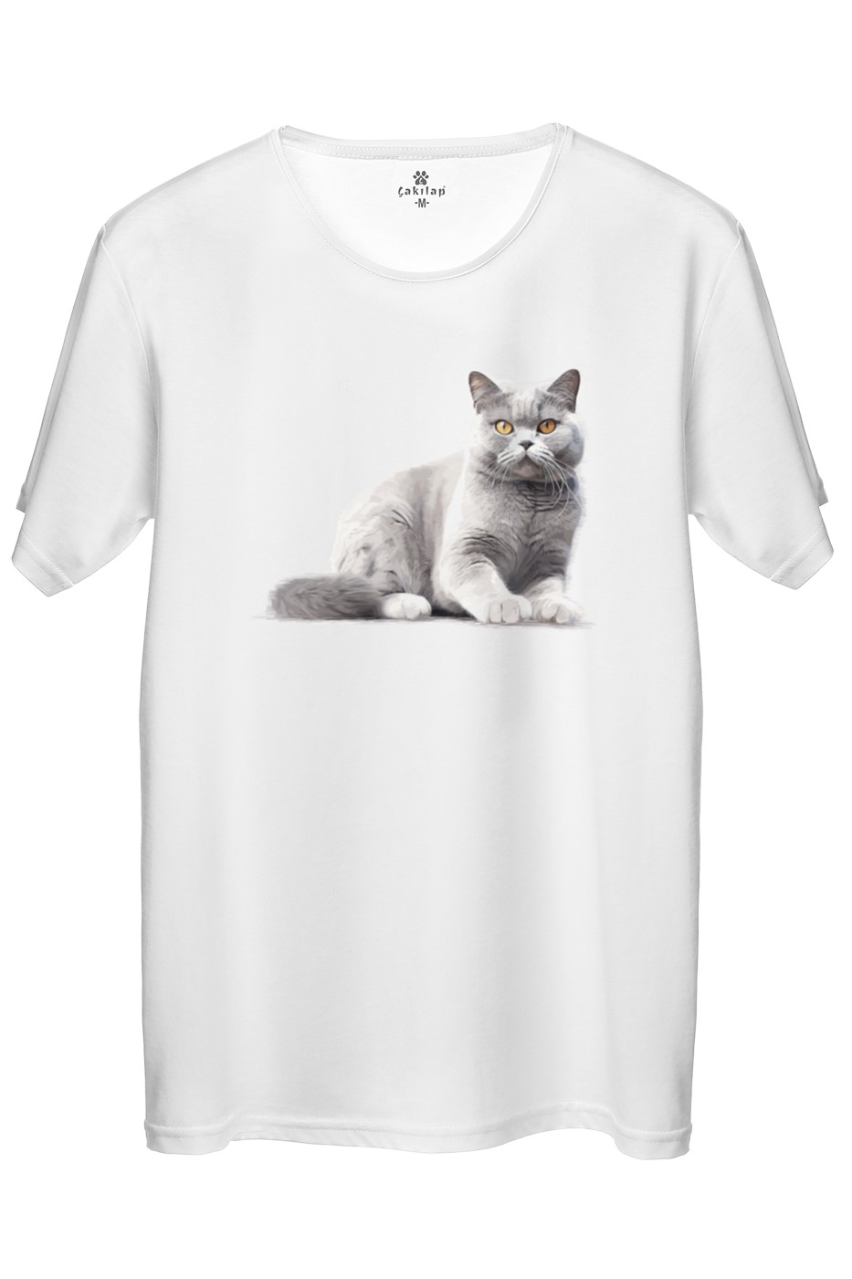 Kedi Baskılı Regular Tişört
