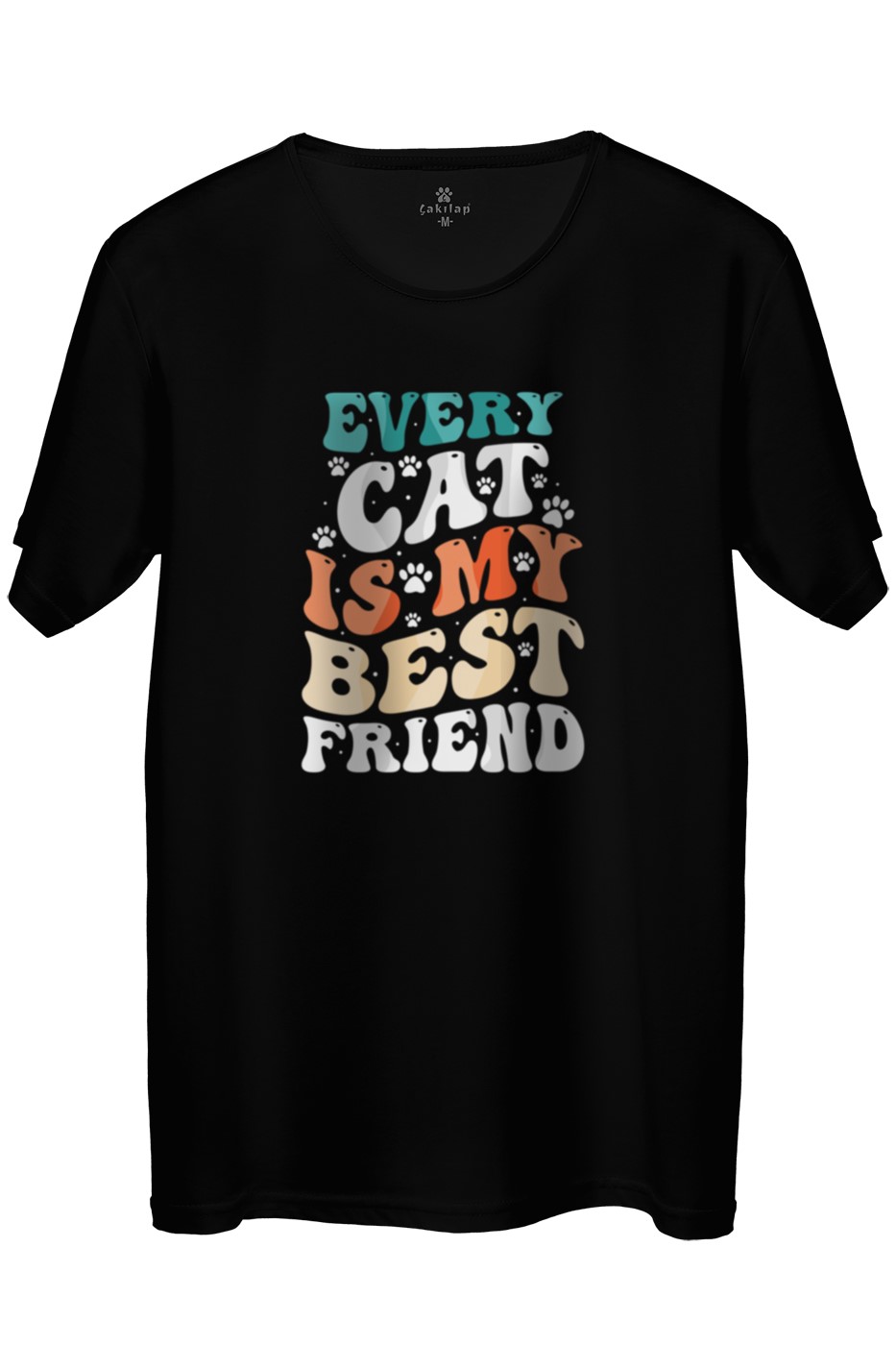 Kedi Baskılı Regular Tişört